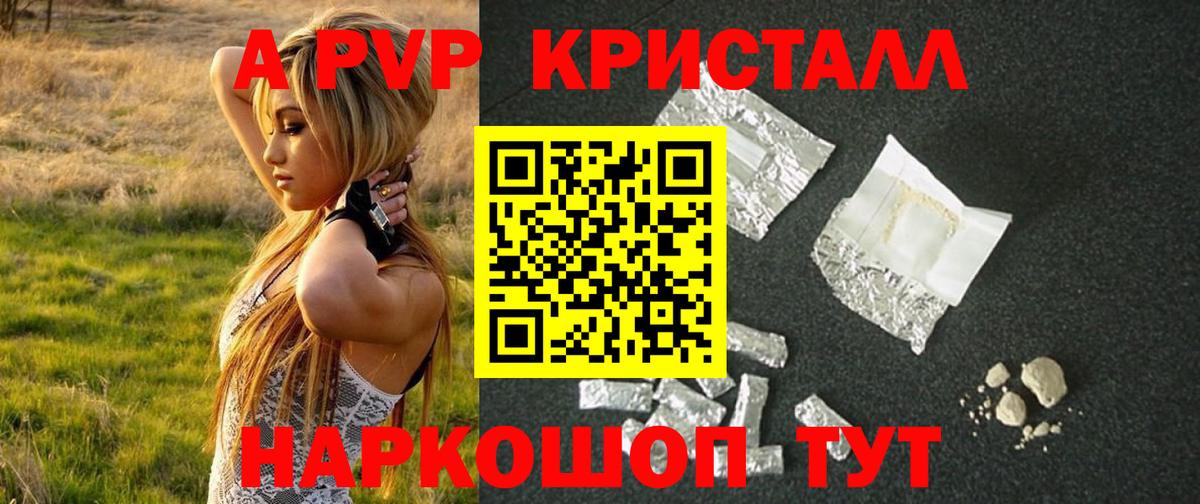 Альфа ПВП СК КРИС Муравленко