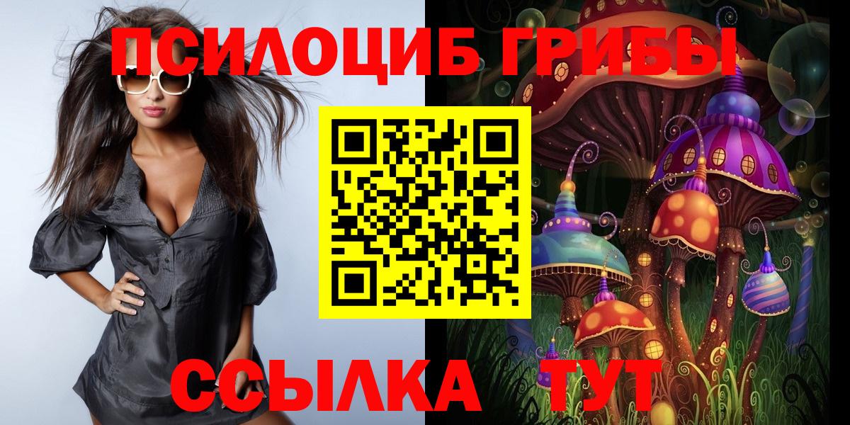 Галлюциногенные грибы Psilocybine cubensis Муравленко