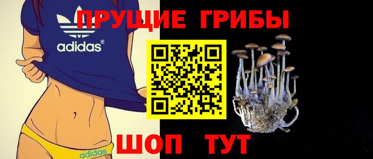 Муравленко  Псилоцибиновые грибы MAGIC MUSHROOMS  Вход с VPN  Галлюциногенные грибы GOLDEN TEACHER 